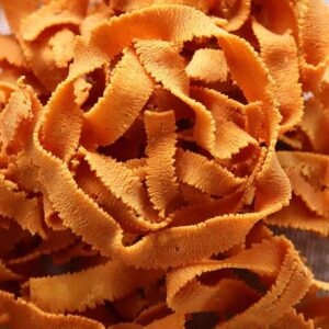 Ribban Pakodi